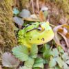 AHB Series 13 / Ceratophrys Cornuta - South American Horned Frog (Green) / Frog