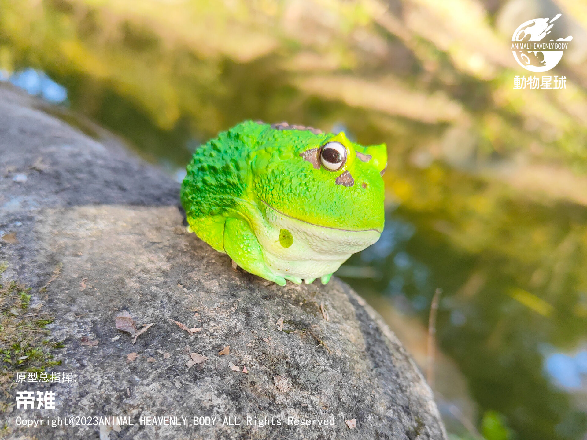 AHB Series 13 / Ceratophrys Cranwelli - Cranwell's Horned Frog / Pacman (Green) / Frog