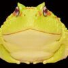 AHB Series 13 / Ceratophrys Cranwelli - Cranwell's Horned Frog / Pikachu (Yellow) / Frog