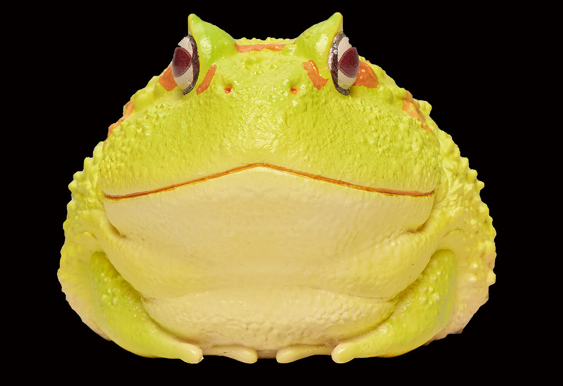 AHB Series 13 / Ceratophrys Cranwelli - Cranwell's Horned Frog / Pikachu (Yellow) / Frog