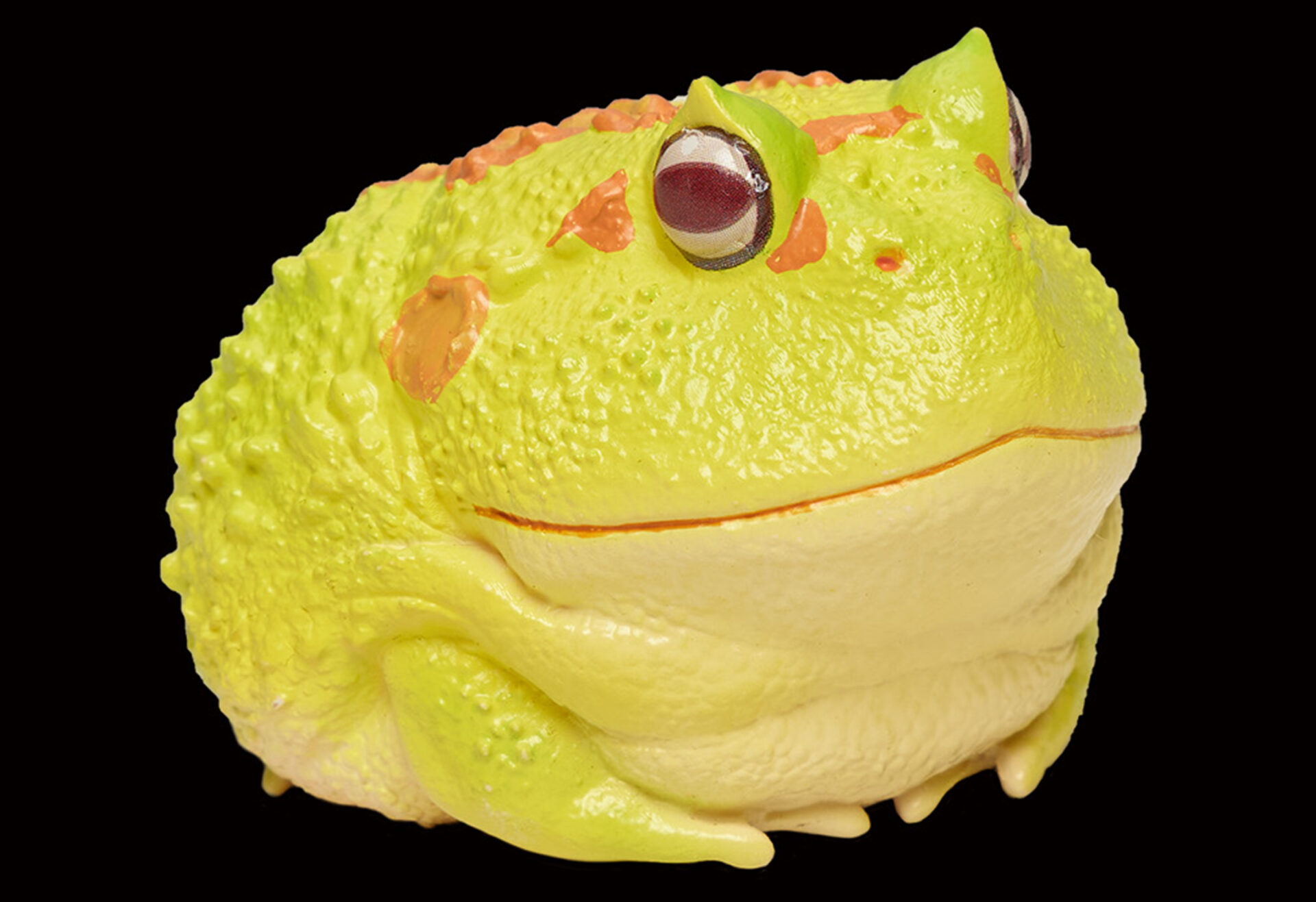 AHB Frog Ceratophrys Cranwelli Horned Frog Yellow Animal Collectible