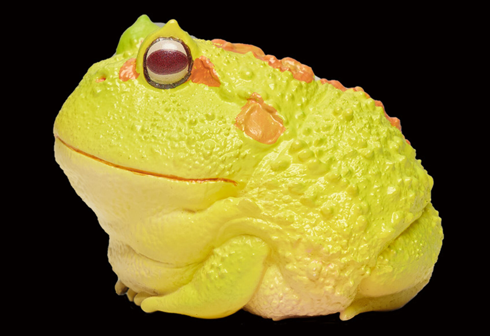 AHB Series 13 / Ceratophrys Cranwelli - Cranwell's Horned Frog / Pikachu (Yellow) / Frog