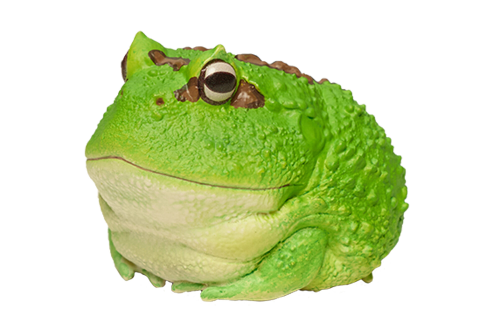 AHB Series 13 / Ceratophrys Cranwelli - Cranwell's Horned Frog / Pacman (Green) / Frog