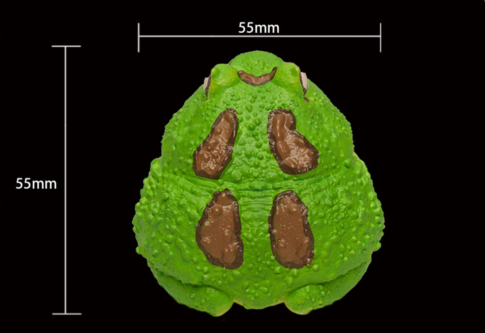 AHB Series 13 / Ceratophrys Cranwelli - Cranwell's Horned Frog / Pacman (Green) / Frog