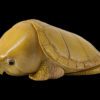AHB Series 3 / Platysternon Megacephalum - Big-headed Turtle (Yellow) / Turtle