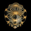 AHB Series 3 / Astrochelys Radiata - Radiated Tortoise / Turtle