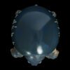 AHB Series 3 / Carettochelys Insculpta - Pig-Nosed Turtle / Turtle