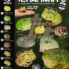 AHB Series 13 / Ceratophrys Cranwelli - Cranwell's Horned Frog / Pikachu (Yellow) / Frog