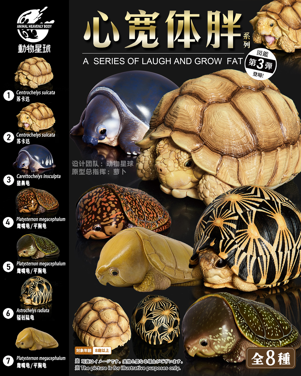 AHB Series 3 / Platysternon Megacephalum - Big-headed Turtle (Yellow) / Turtle