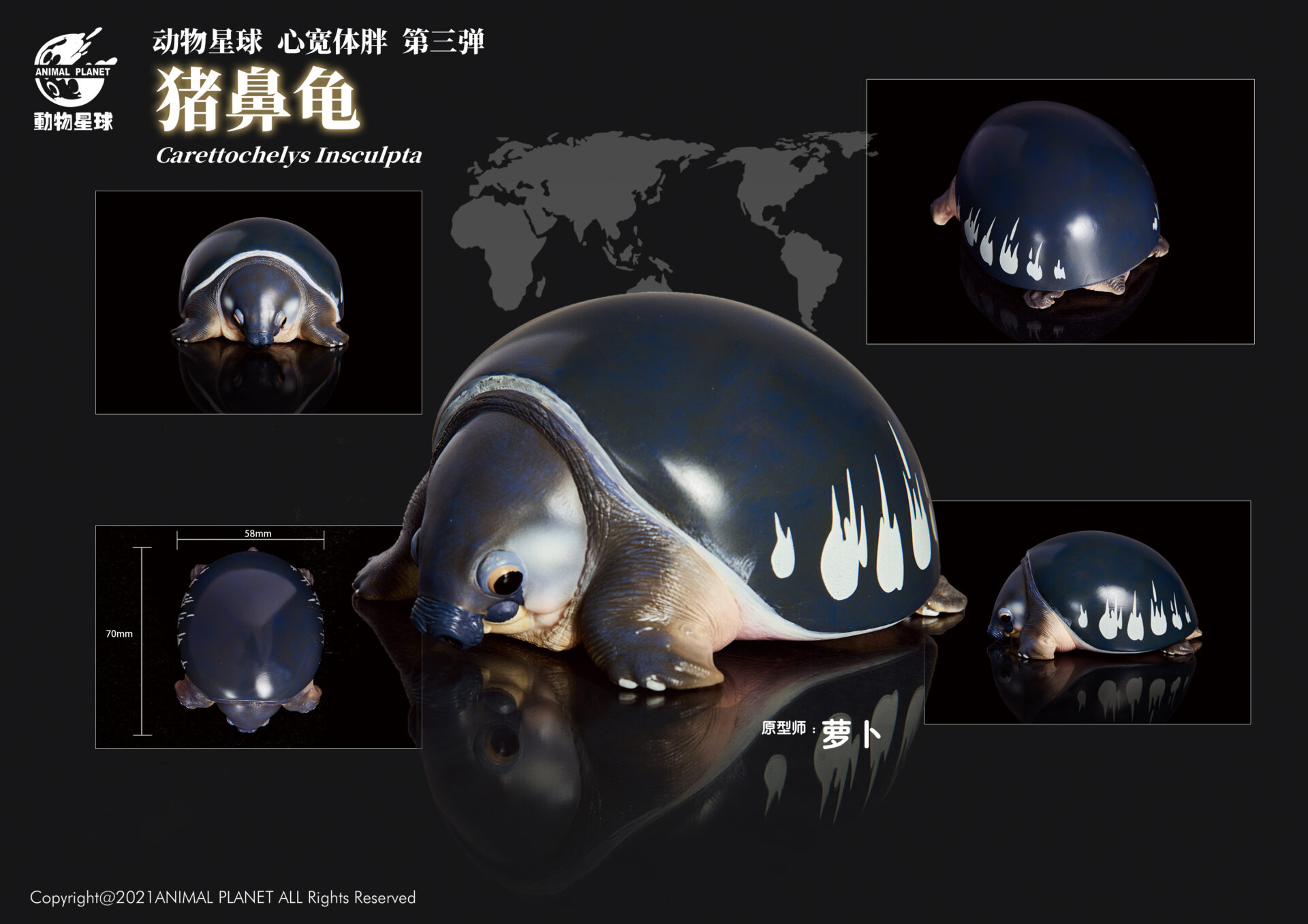 AHB Series 3 / Carettochelys Insculpta - Pig-Nosed Turtle / Turtle