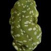 AHB Series 2 / Rhacodactylus Leachianus - Giant Gecko Leachie / Gecko