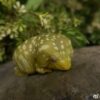 AHB Series 2 / Rhacodactylus Leachianus - Giant Gecko Leachie / Gecko