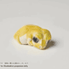 AHB Series 2 / Nephrurus Levis Pilbarensis - Knob-tailed Gecko (Patternless) / Gecko