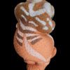AHB Series 2 / Nephrurus Levis Pilbarensis - Knob-tailed Gecko / Gecko