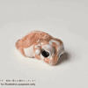 AHB Series 2 / Nephrurus Levis Pilbarensis - Knob-tailed Gecko / Gecko