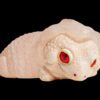 AHB Series 2 / Eublepharis macularius - Gecko shedding / Gecko