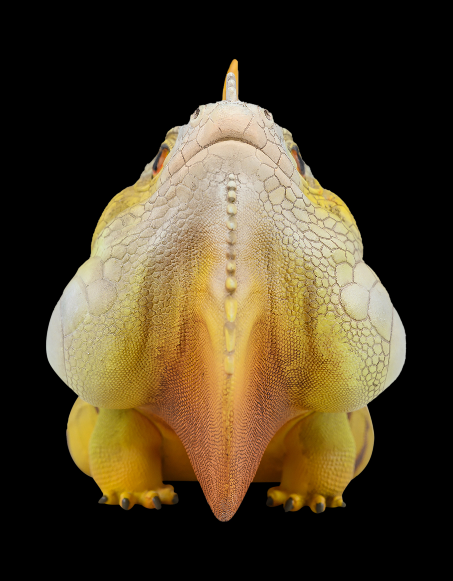 AHB Series 16 / American Iguana (Normal) / Lizard