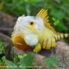 AHB Series 16 / American Iguana (Normal) / Lizard