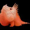 AHB Series 16 / American Iguana (Red Albino) / Lizard