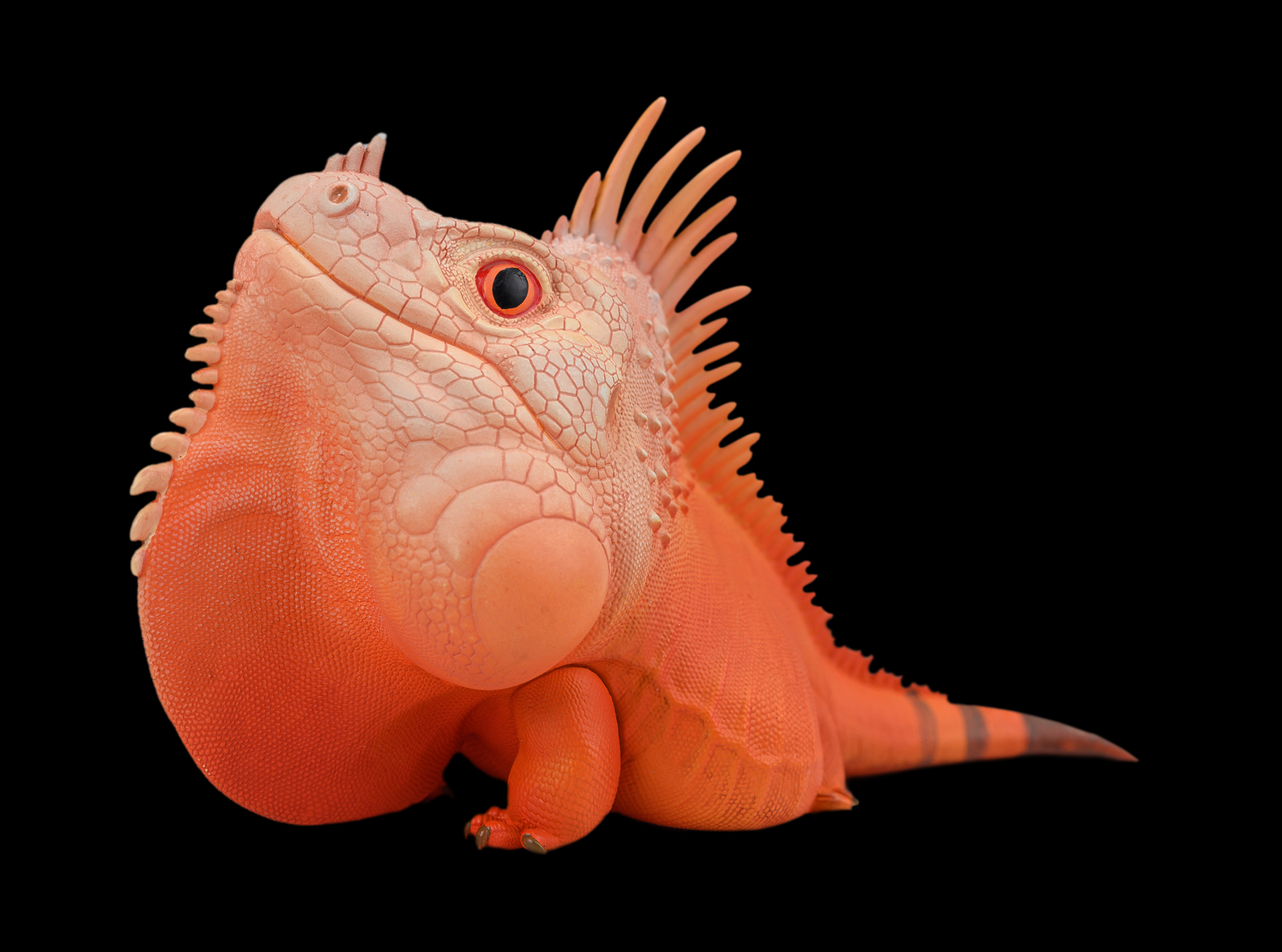 AHB Series 16 / American Iguana (Red Albino) / Lizard