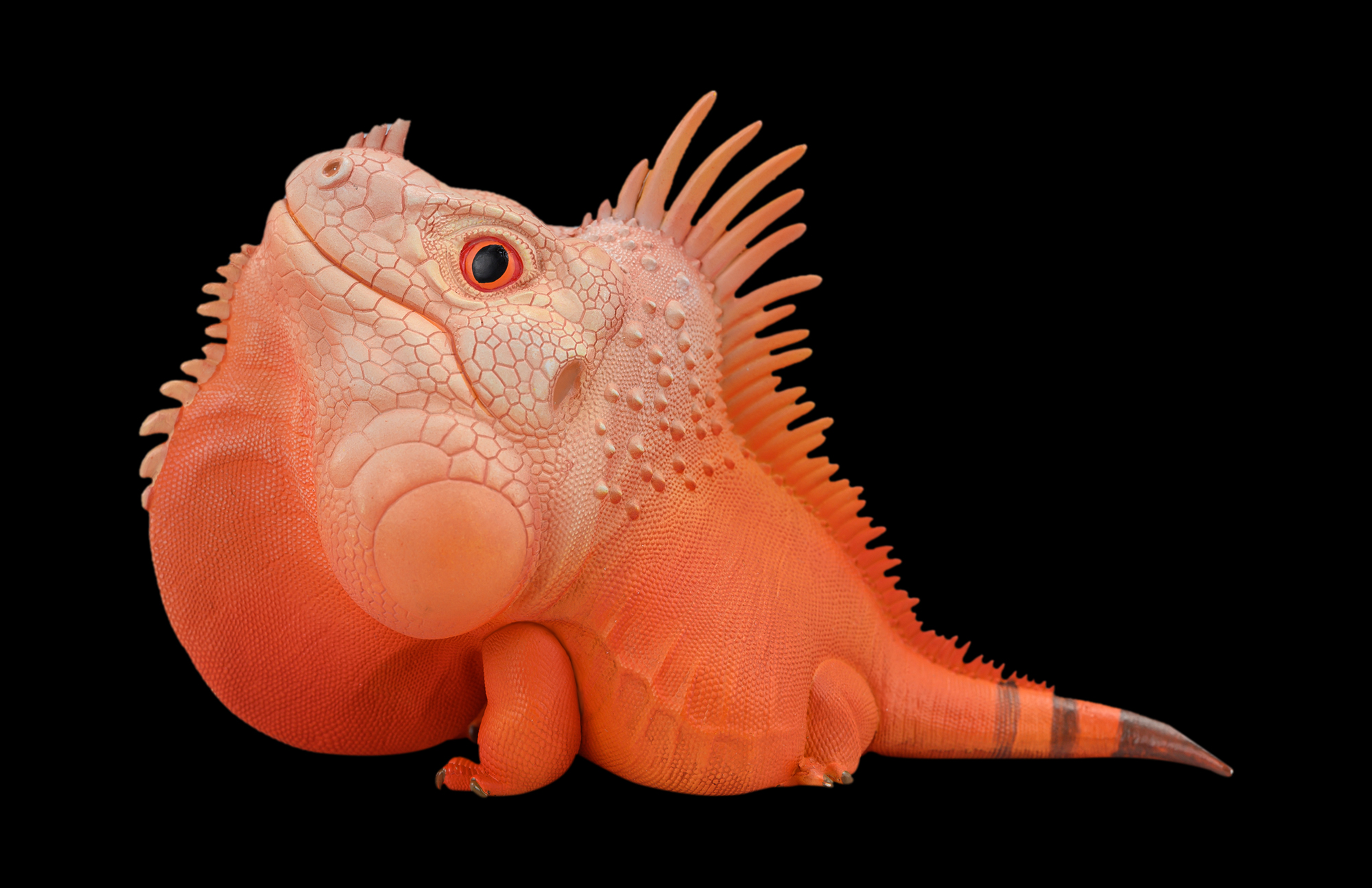 AHB Series 16 / American Iguana (Red Albino) / Lizard