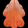 AHB Series 16 / American Iguana (Red Albino) / Lizard