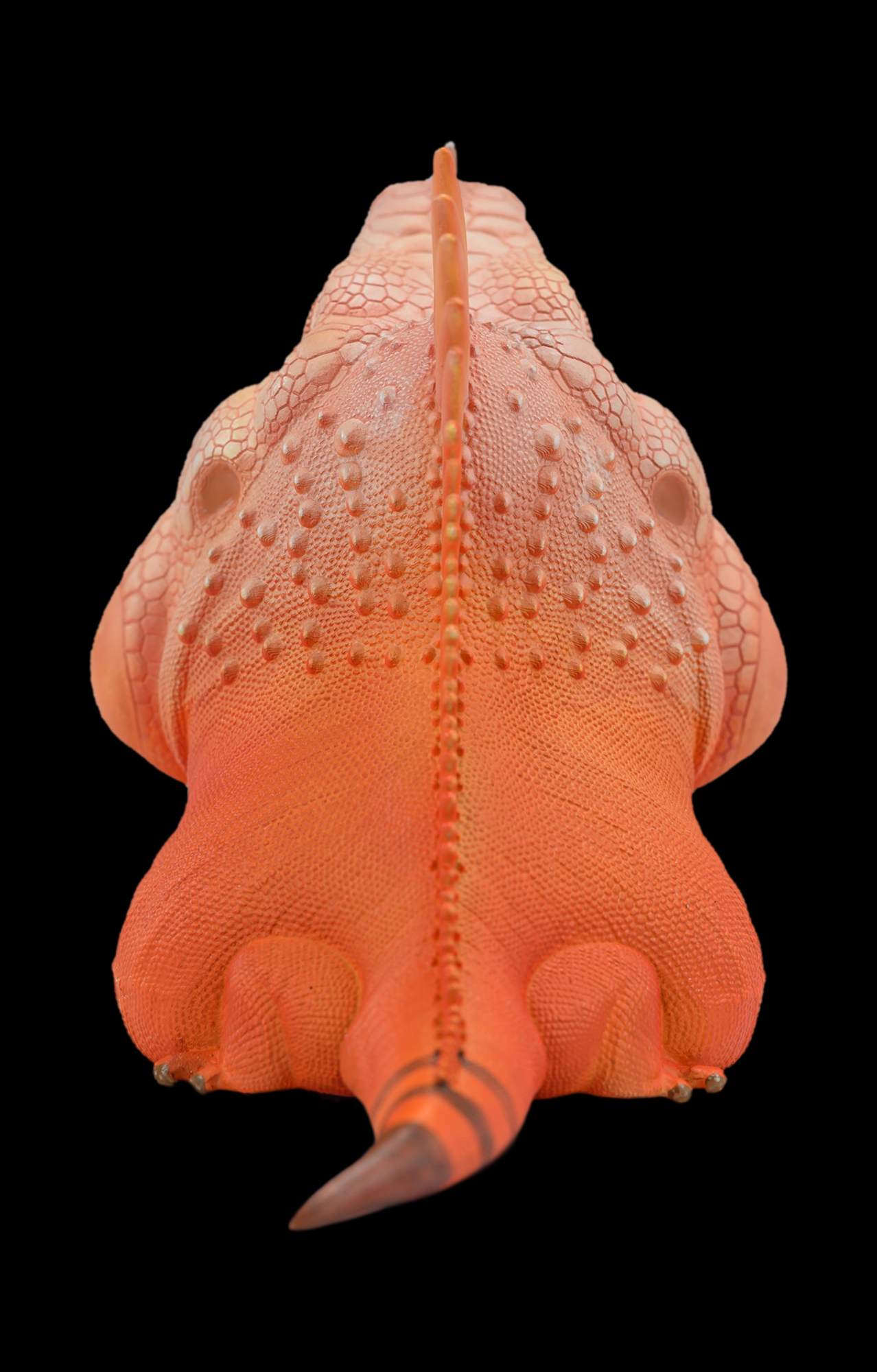 AHB Series 16 / American Iguana (Red Albino) / Lizard
