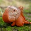 AHB Series 16 / American Iguana (Red Albino) / Lizard