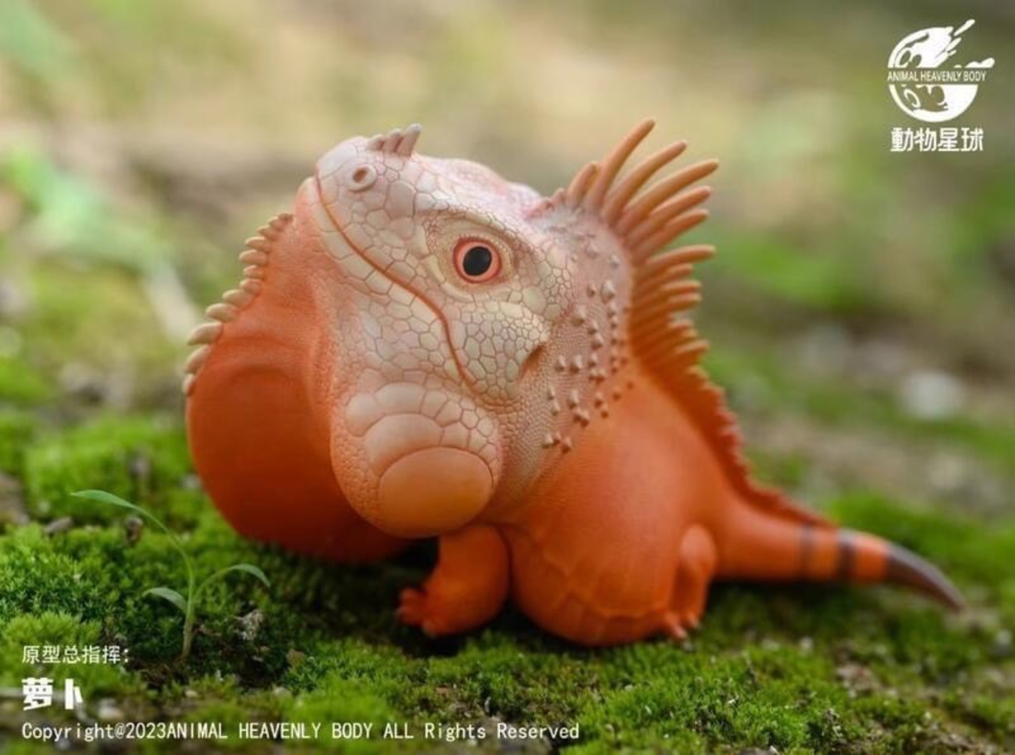 AHB Series 16 / American Iguana (Red Albino) / Lizard