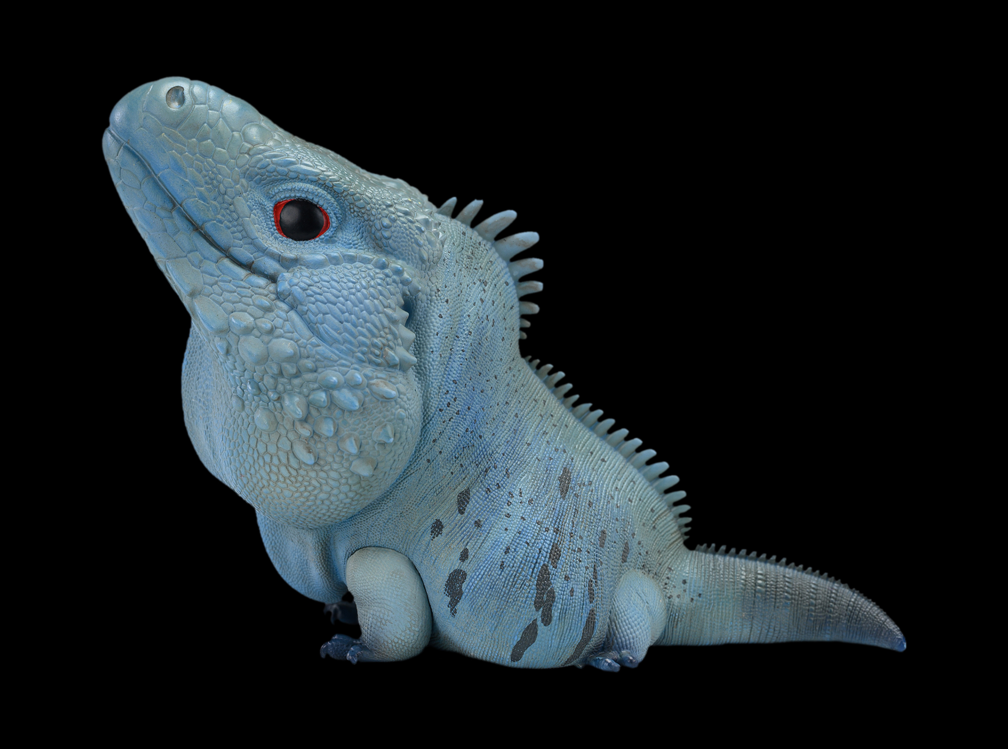 AHB Series 16 / Cyclura Lewisi - Blue Iguana / Lizard