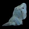 AHB Series 16 / Cyclura Lewisi - Blue Iguana / Lizard
