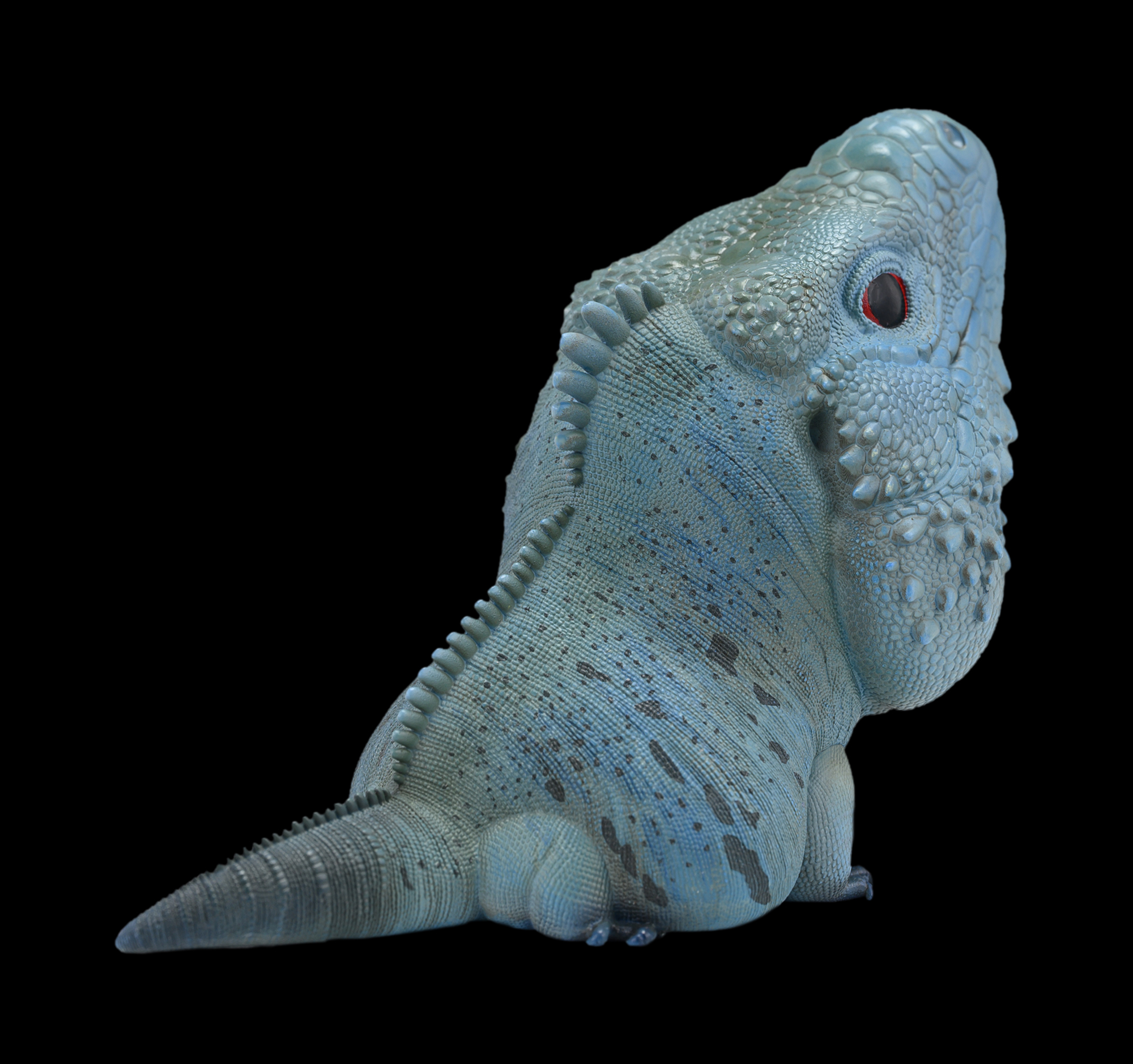 AHB Series 16 / Cyclura Lewisi - Blue Iguana / Lizard