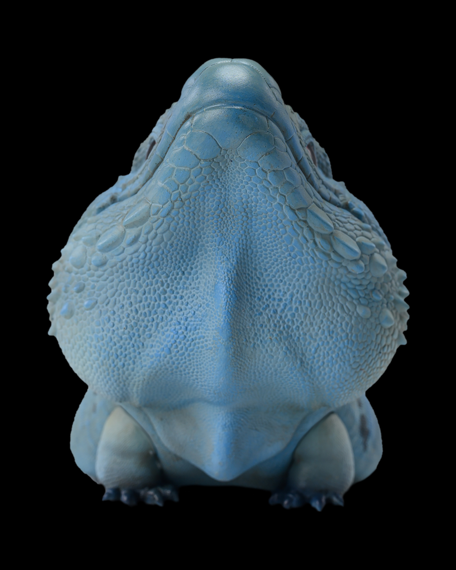 AHB Series 16 / Cyclura Lewisi - Blue Iguana / Lizard