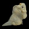 AHB Series 16 / Cyclura Cornuta - Rhinoceros Iguana / Lizard