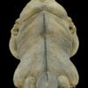AHB Series 16 / Cyclura Cornuta - Rhinoceros Iguana / Lizard