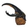 AHB Series 7 / Dynastes Hercules - Hercules Beetle (Yellow) / Insect