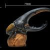 AHB Series 7 / Dynastes Hercules - Hercules Beetle (Yellow) / Insect
