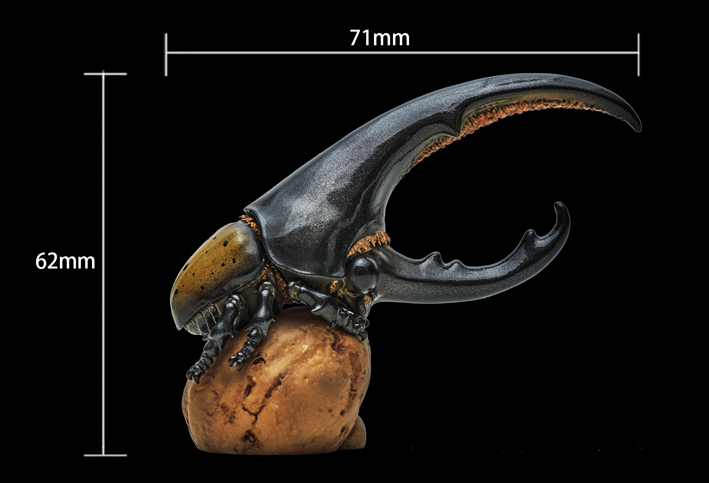 AHB Series 7 / Dynastes Hercules - Hercules Beetle (Yellow) / Insect