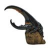AHB Series 7 / Dynastes Hercules - Hercules Beetle (Black) / Insect