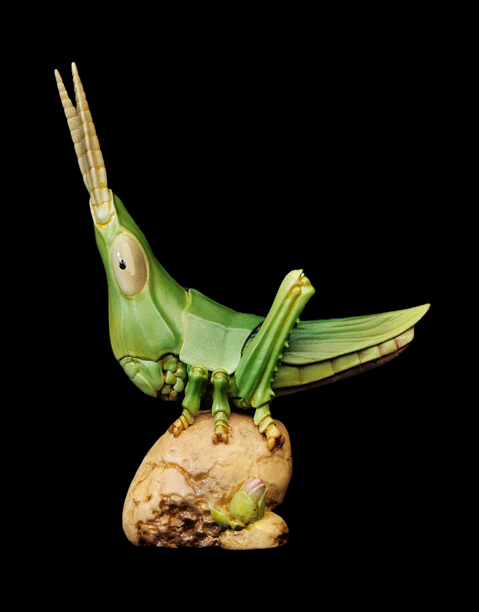 AHB Series 7 / Acrida Cinerea - Chinese Grasshopper / Insect