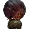 AHB Series 7 / Porceeio / Porcellio Laevis - Swift Woodlouse / Insect