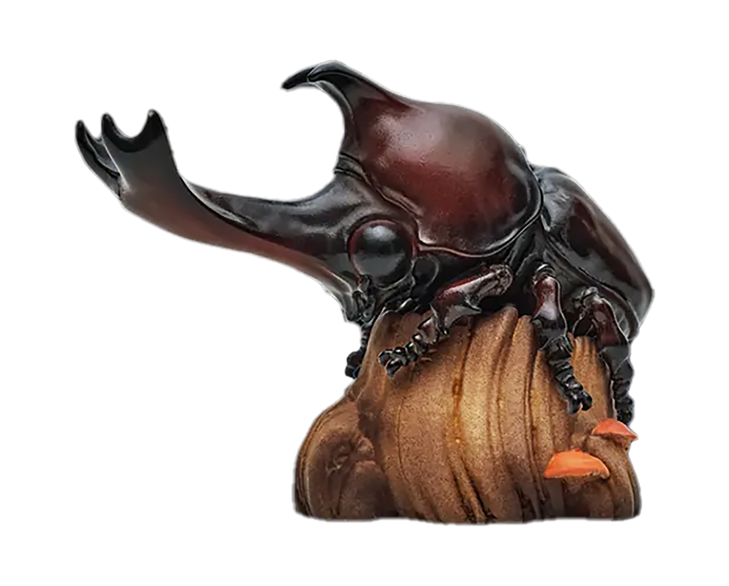 AHB Series 7 / Allomyrina Dichotoma - Japanese Rhinoceros Beetle / Insect