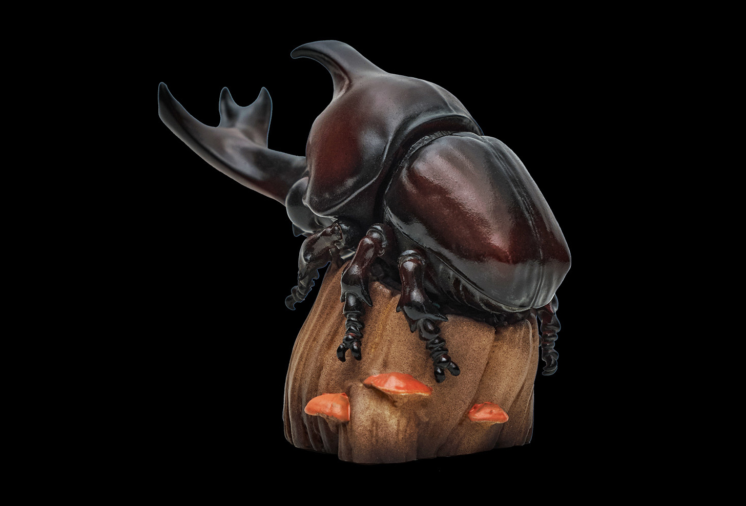 AHB Series 7 / Allomyrina Dichotoma - Japanese Rhinoceros Beetle / Insect