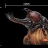 AHB Series 7 / Allomyrina Dichotoma - Japanese Rhinoceros Beetle / Insect