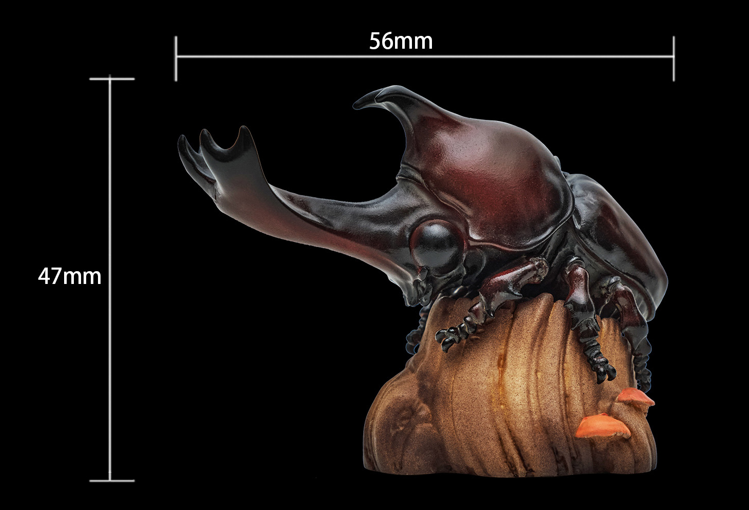 AHB Series 7 / Allomyrina Dichotoma - Japanese Rhinoceros Beetle / Insect