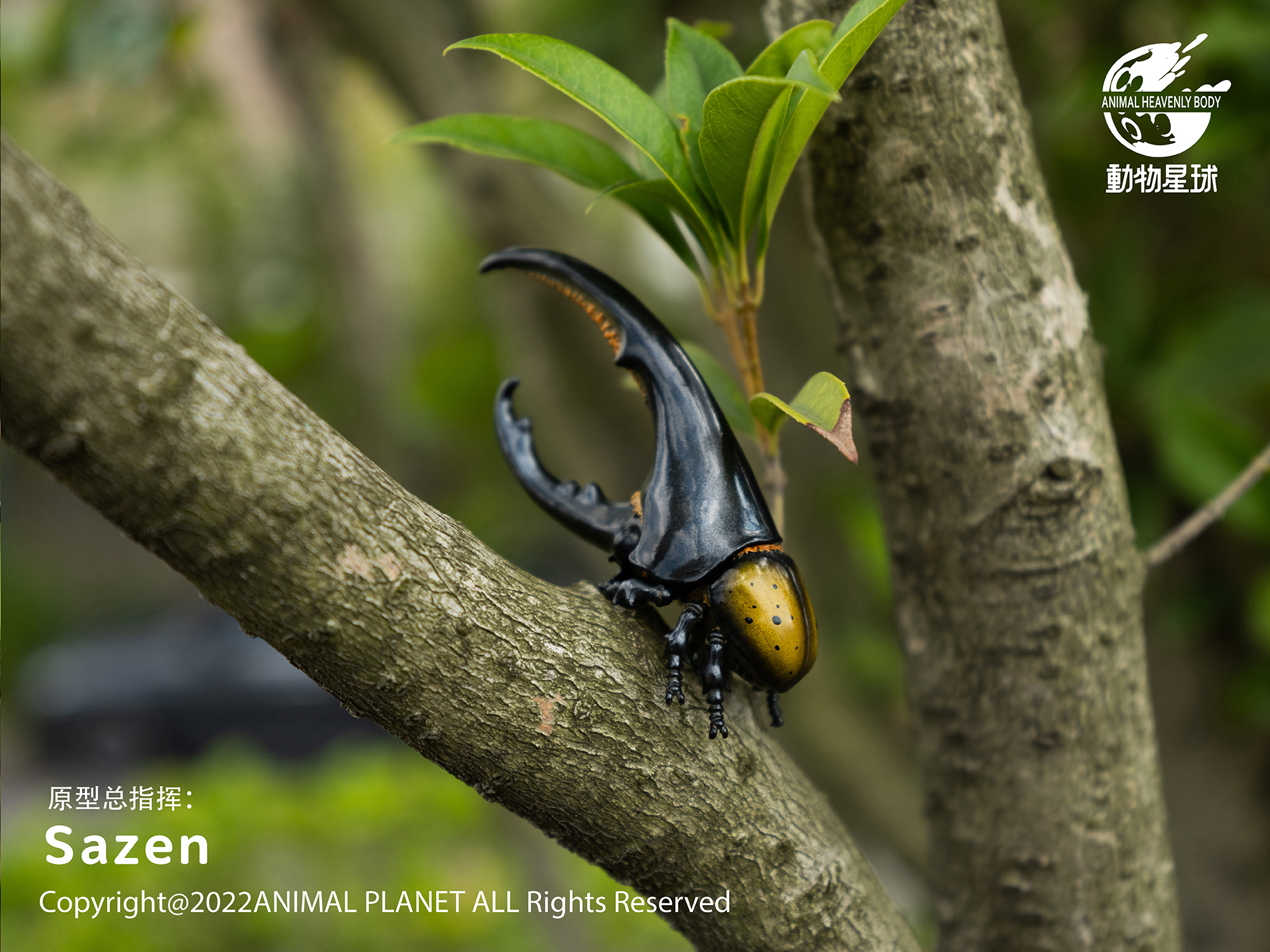 AHB Series 7 / Dynastes Hercules - Hercules Beetle (Yellow) / Insect
