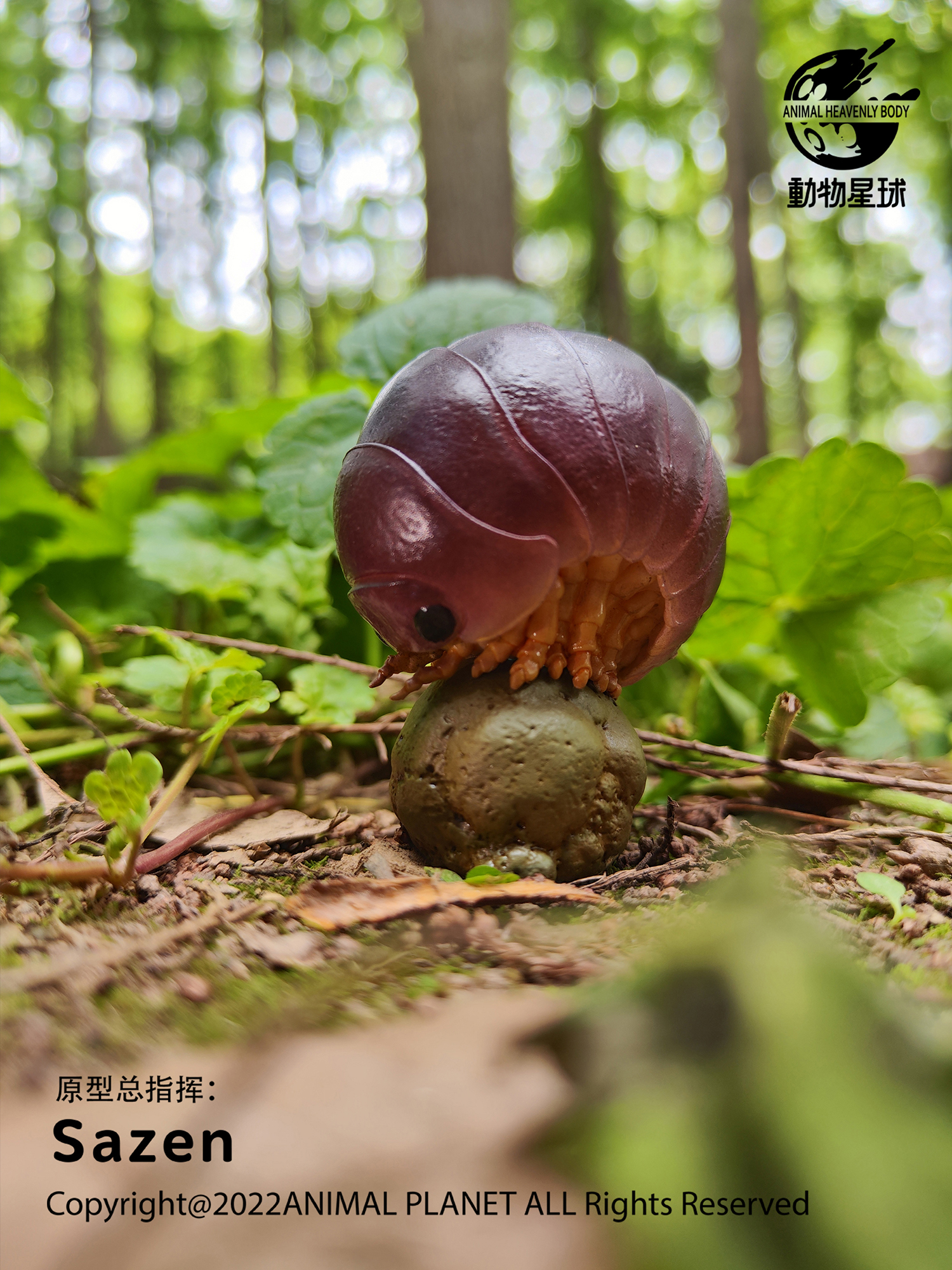 AHB Series 7 / Porceeio / Porcellio Laevis - Swift Woodlouse / Insect