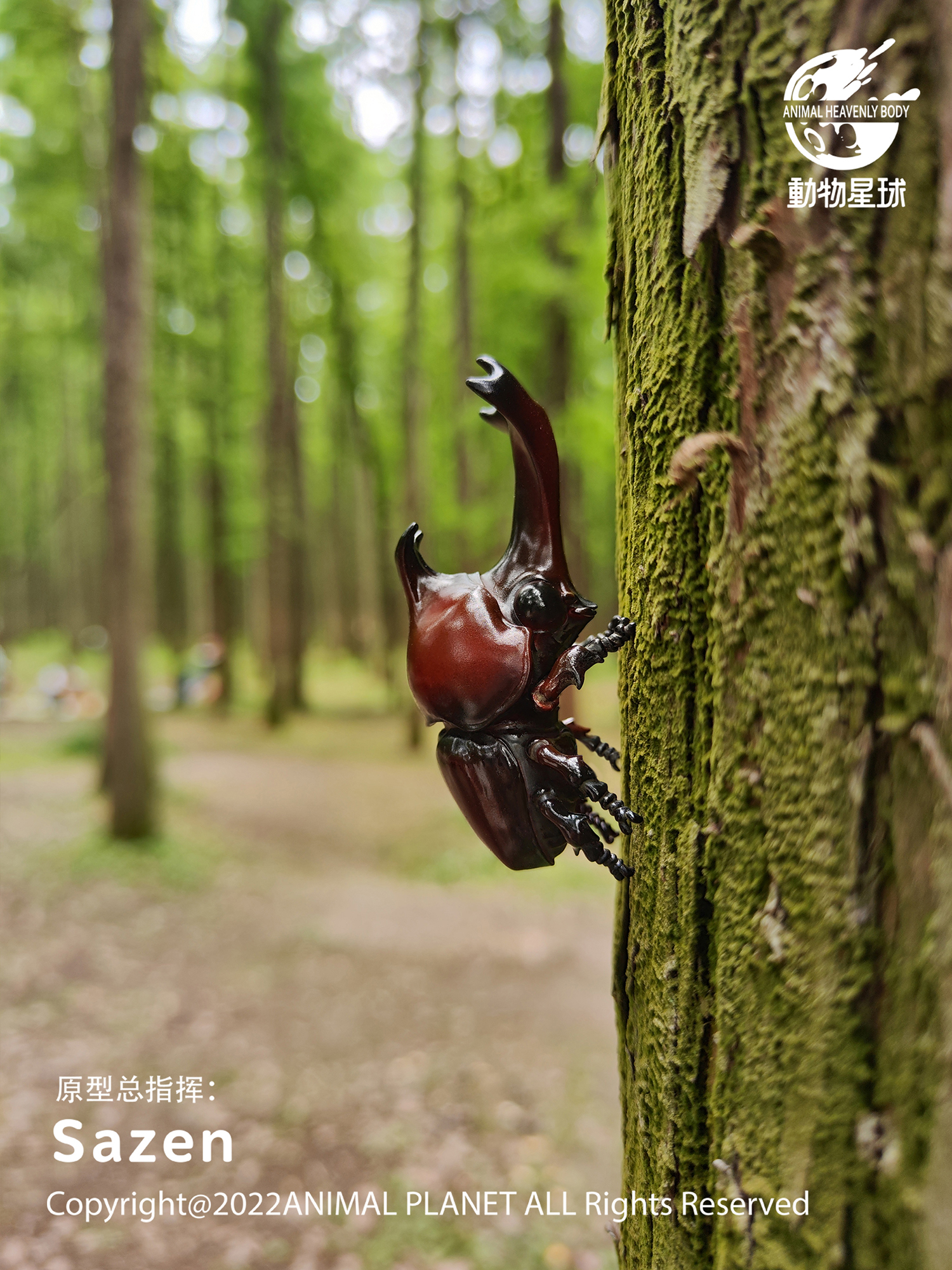 AHB Series 7 / Allomyrina Dichotoma - Japanese Rhinoceros Beetle / Insect