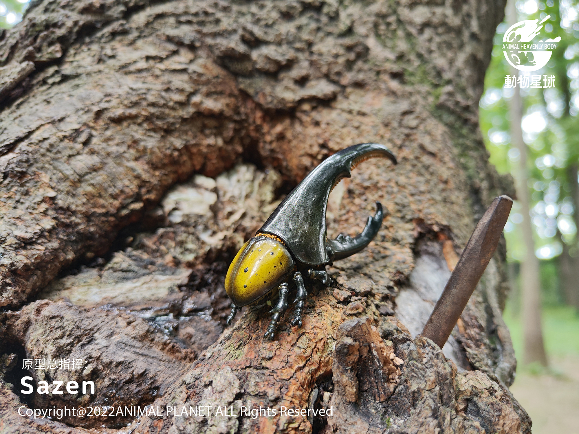 AHB Series 7 / Dynastes Hercules - Hercules Beetle (Yellow) / Insect