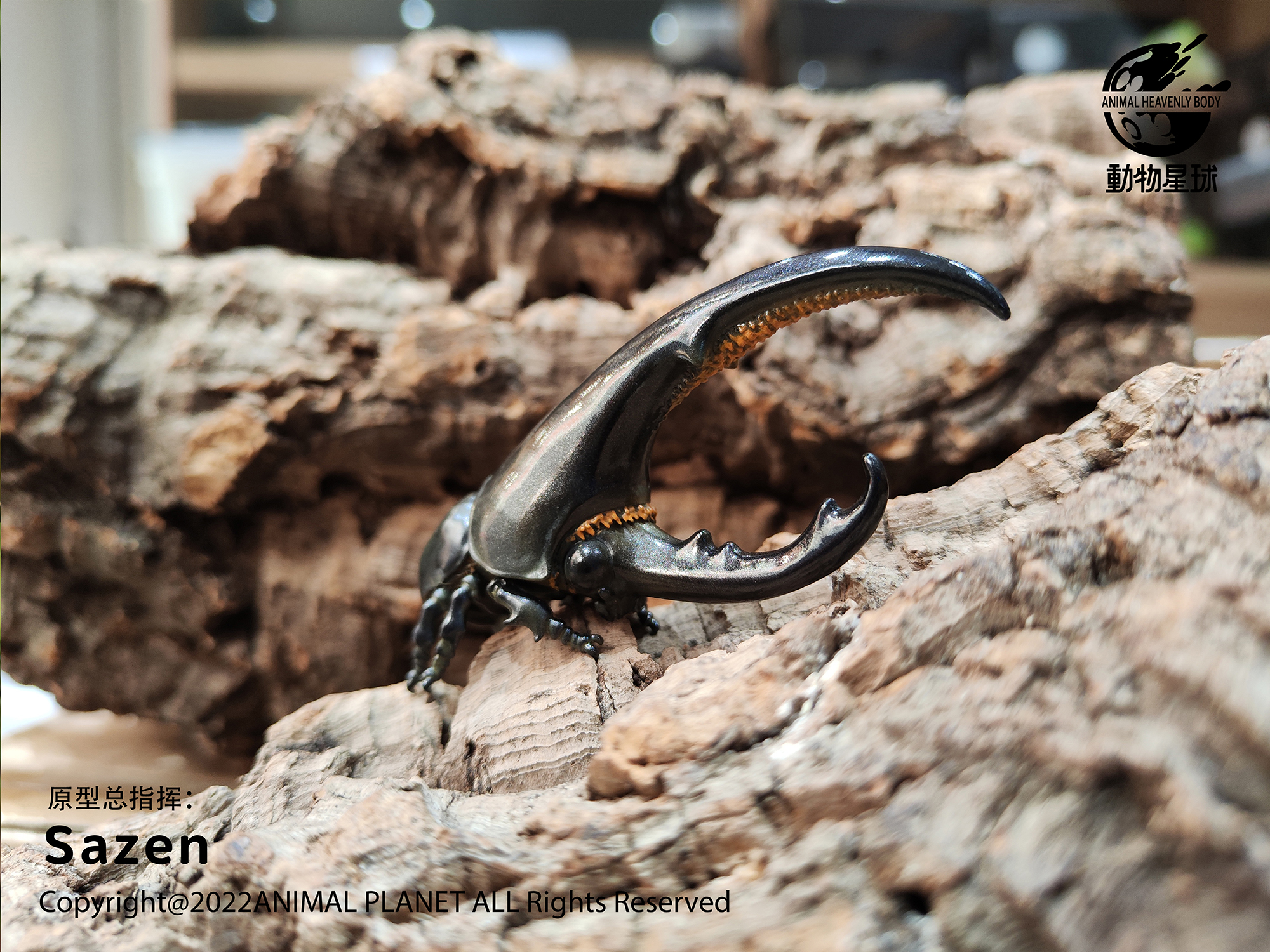 AHB Series 7 / Dynastes Hercules - Hercules Beetle (Black) / Insect